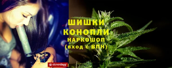 mix Ельня