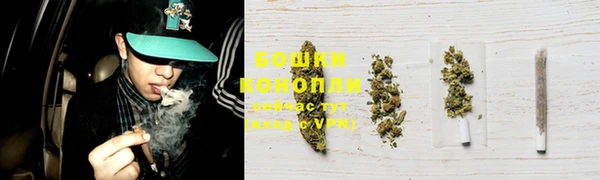 дживик Зеленокумск