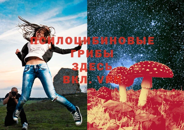 дживик Зеленокумск