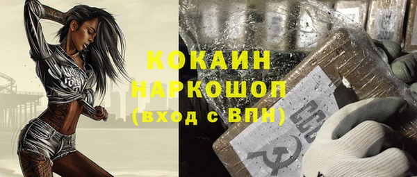 тгк Инта