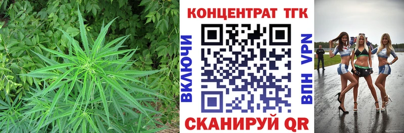 Купить где  Людиново  ТГК концентрат 